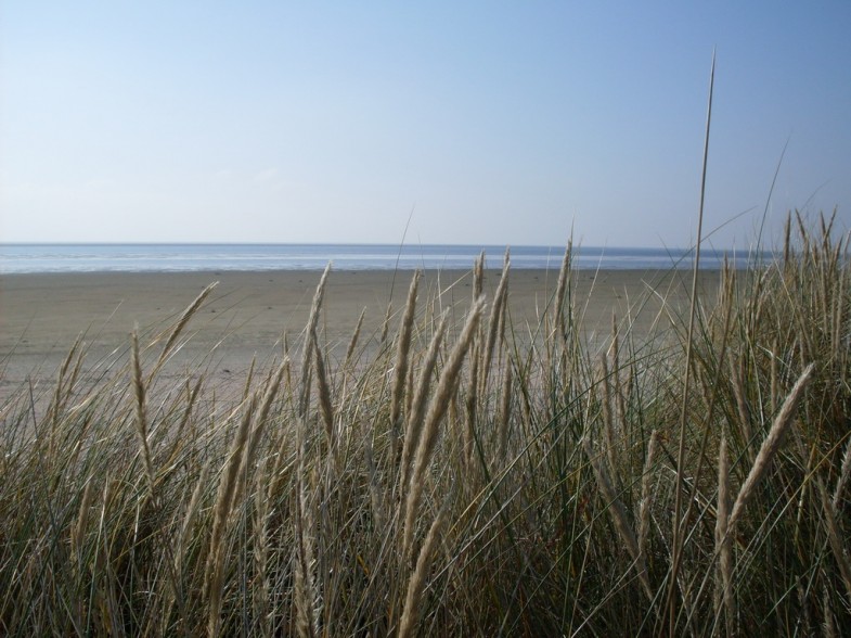 Fanö Strand Nordsee