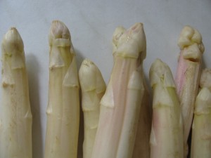 Spargel