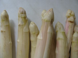 Spargel