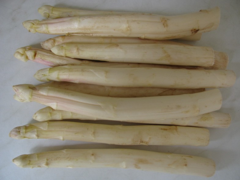 Spargel Spargel