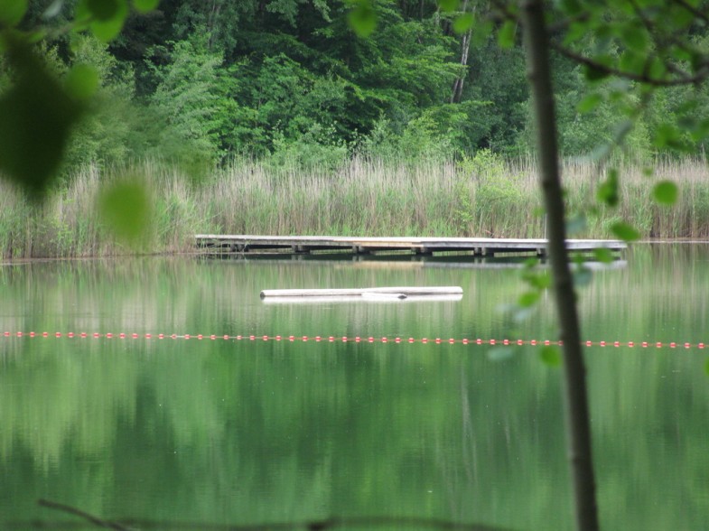 Tonteich in Wohltorf bei Reinbek